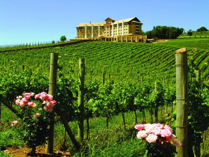 Spa-do-Vinho-foto-Deborah-Villas-Bôas-Dadalt-e1512154977367