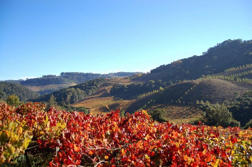Vale-dos-Vinhedos-10-e1512154988600